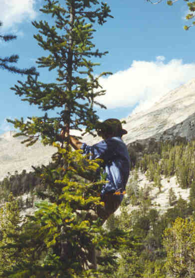 [John climbing tree]